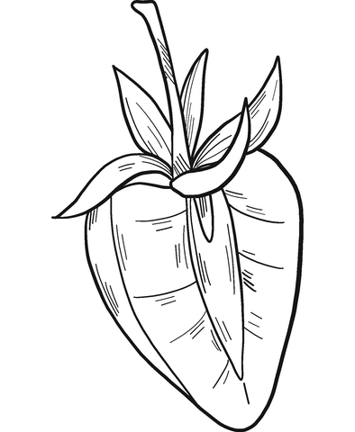 Half Strawberry Coloring Page